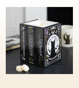Black Cat Book of Spells oil burner product image